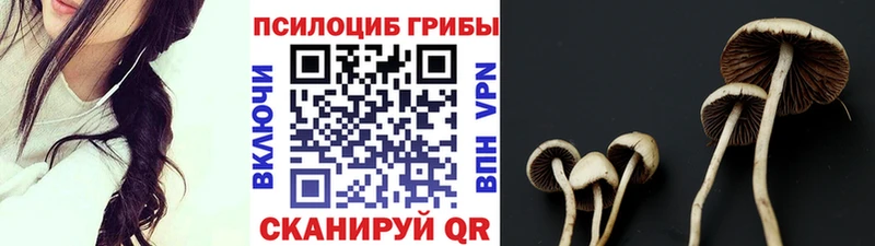 хочу Тихвин Псилоцибиновые грибы мицелий